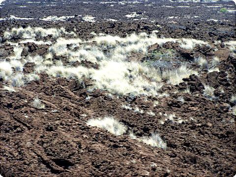 lava3