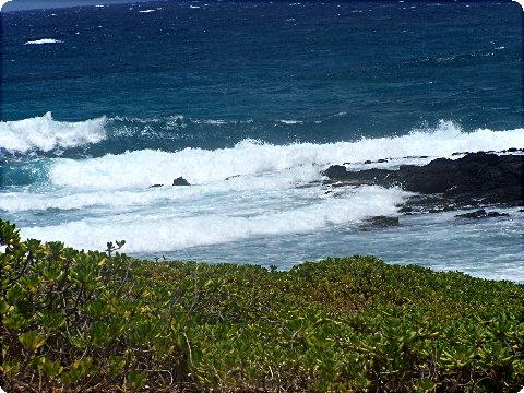 makapuu4