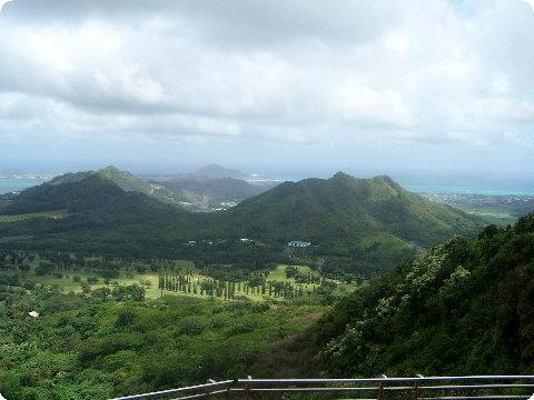 palilookout3