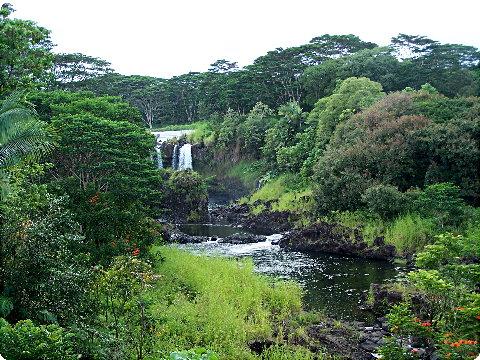 peepeefalls