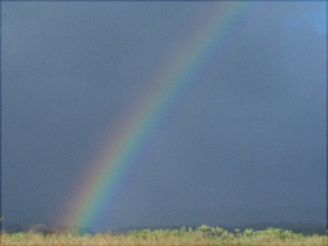 rainbow1