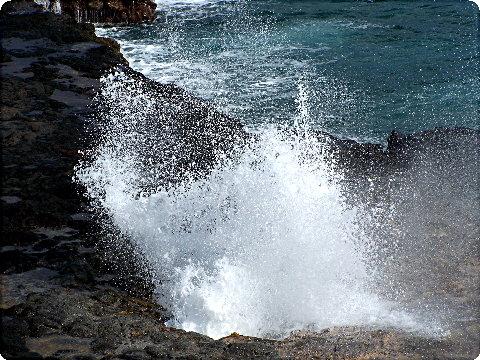 spoutinghorn1