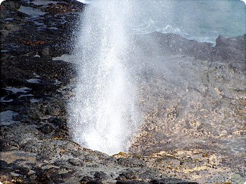 spoutinghorn2