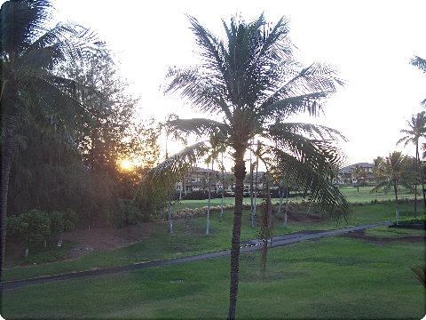 sunrise