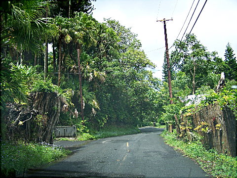 tantalusroad1