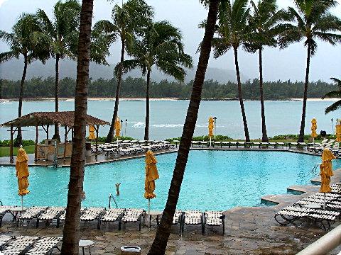 turtlebay1