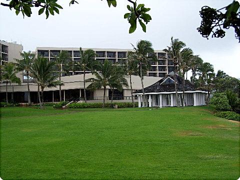 turtlebay2