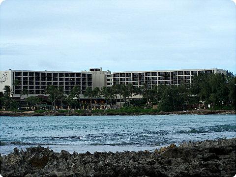 turtlebay3