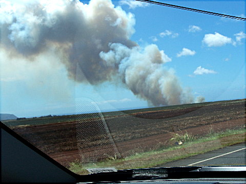 waialuafire1