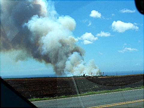 waialuafire2