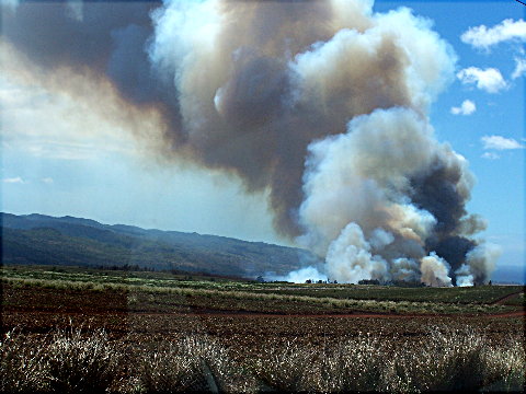 waialuafire3