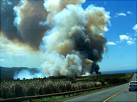 waialuafire4