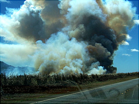 waialuafire5