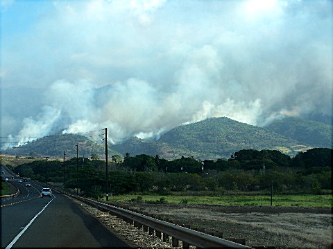 waialuafire6