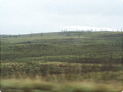 waikoloa2