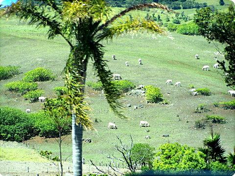 waimea4