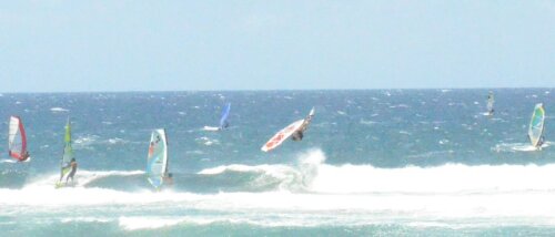 IMG_20130514_180510.jpg image