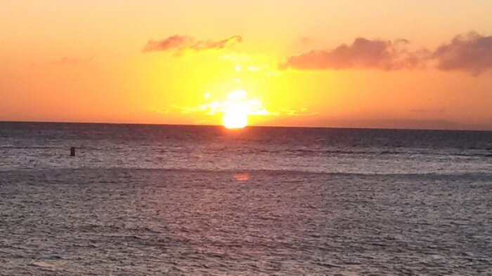 IMG_20130514_185535_356.jpg image