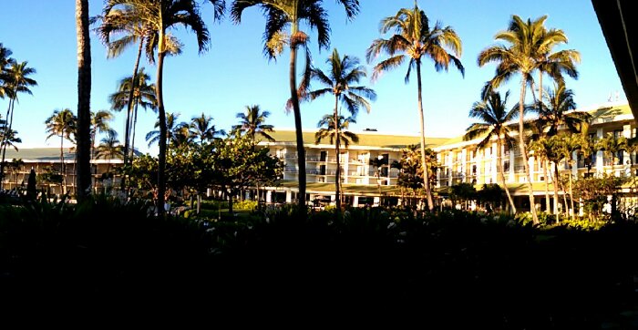 Pano_0039.jpg image