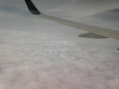 IMG00037.JPG